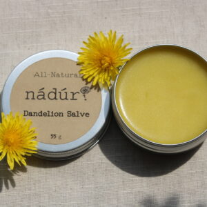 Dandelion Salve - Nadur