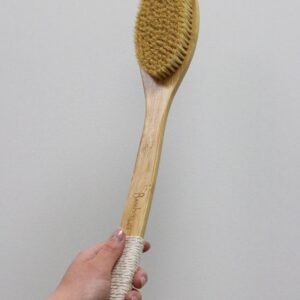 Back Brush - Bamboo Switch